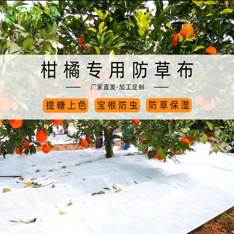 农夫一品51漫画
加厚新型农用反光膜环保可降解柑橘果树盖草除草布