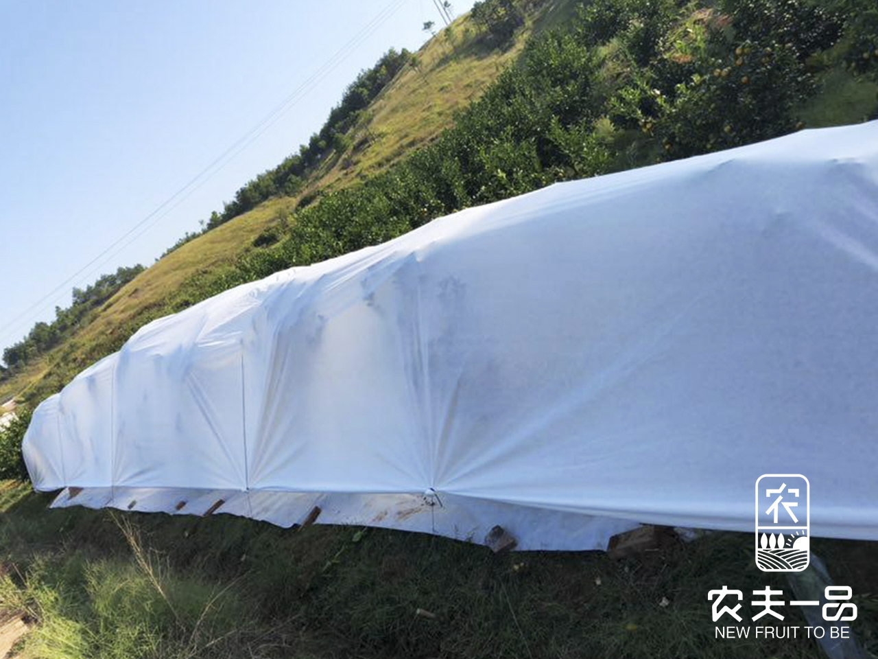1702556175363433.jpg 御寒布笼盖方式步骤 (12).jpg