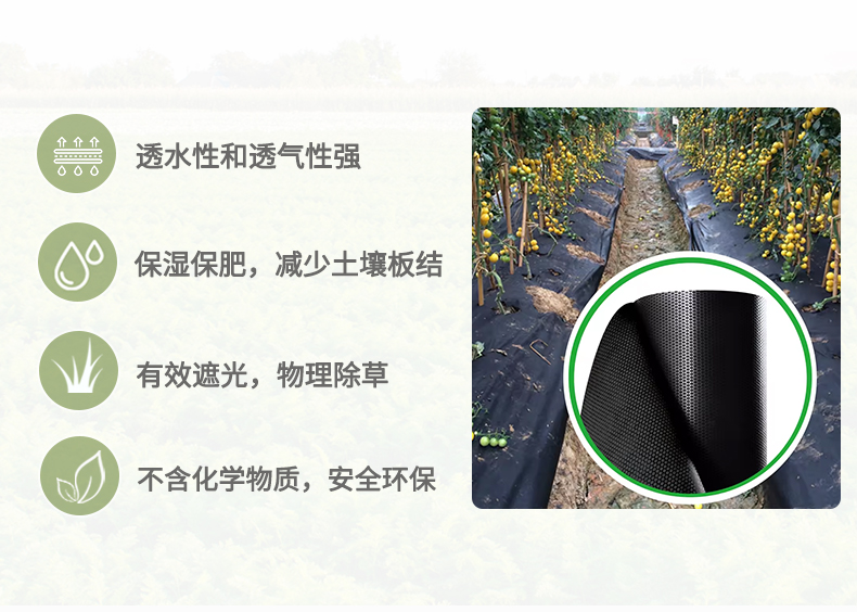 黑色详情页排版-拷贝_02.jpg