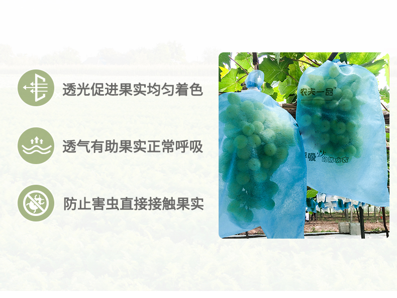 生果套袋排版_02.jpg